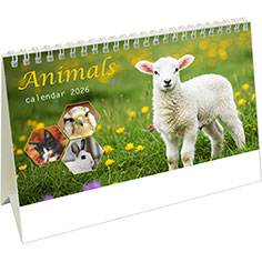 Calendrier de bureau chevalet Animals