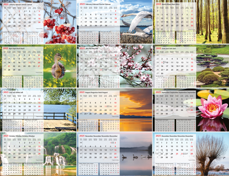 Calendrier de bureau chevalet 2025 Nature Images