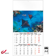 Calendrier mural 2026 Aquatic World 6 pages