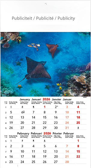 Calendrier mural illustré 2026 Aquatic World 6p 22x41cm