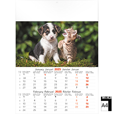 Calendrier mural 2025 Cats & Dogs 6 pages