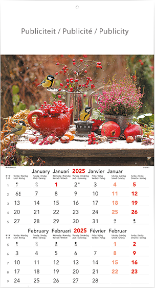 Calendrier mural illustré 2025 Flowers 6p 22x41cm