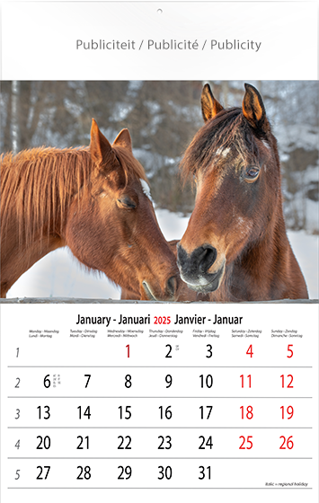 Calendrier mural 2025 Horses 13p 30x47cm