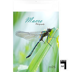 Calendrier publicitaire illustré Macro