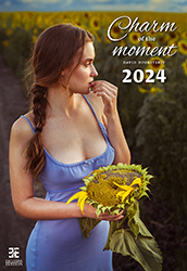 Calendrier mural 2024 Pin-up Charm of the Moment 13p 33x55cm Page de garde