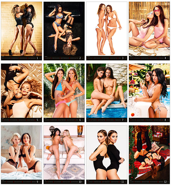 Calendrier mural 2026 Pin-Up Double Trouble 13p 31x52cm Images