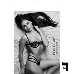 Calendrier publicitaire illustré Pin-up Female Art