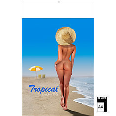 Calendrier publicitaire illustré Pin-up Tropical Dreams