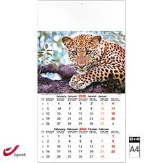 Calendrier mural 2026 Wild & Free 6 pages