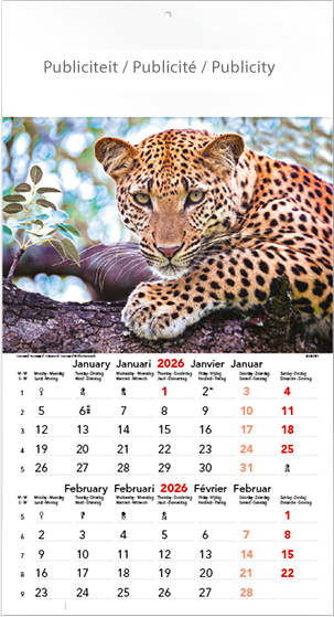 Calendrier mural illustré 2026 Wild & Free 6p 22x41cm