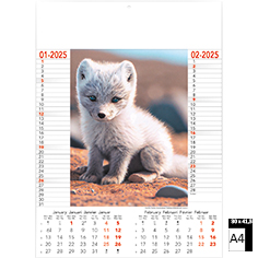 Calendrier mural illustré Wild & Free