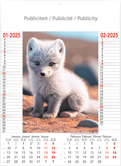 Calendrier mural illustré 2025 Wild & Free 6p 30x41cm