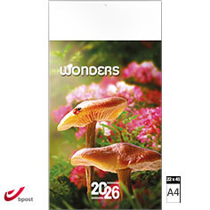 Calendrier publicitaire illustré 2026 Wonders 22 x 41