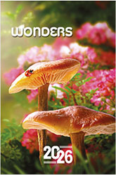 Calendrier mural 2026 Wonders 13p 22x41cm Page de garde